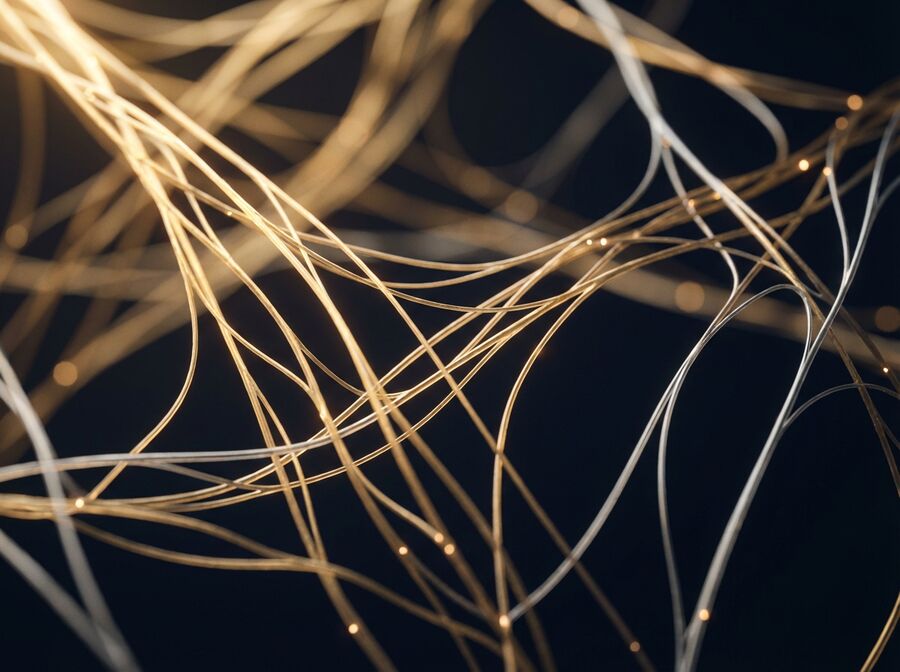 Collagen fiber structures under magnification
